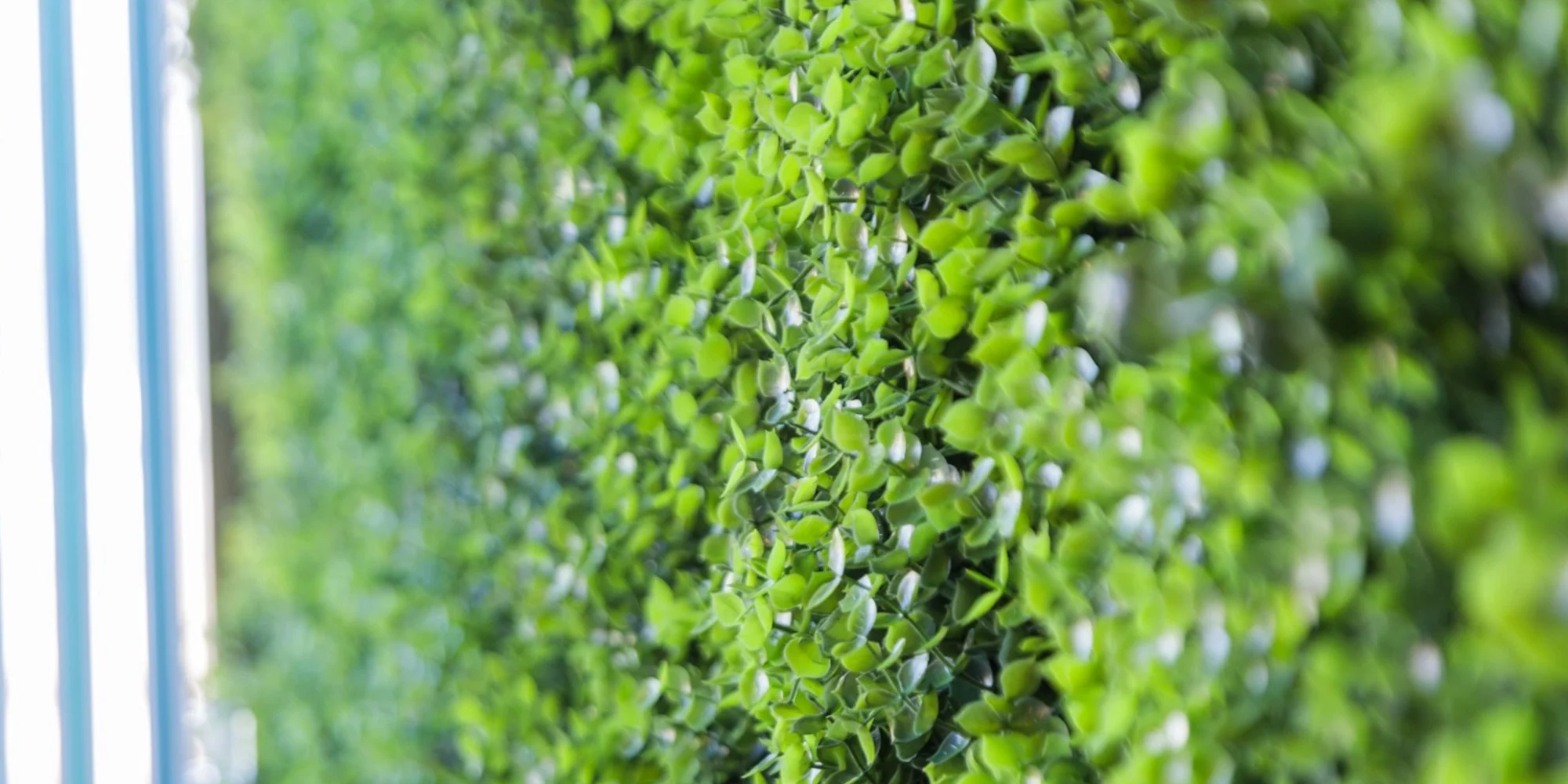 primavera_gandia_playa_alquiler_apartamentos