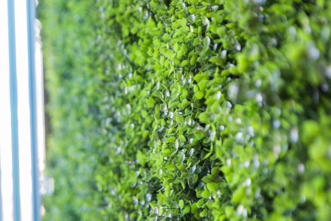 primavera_gandia_playa_alquiler_apartamentos