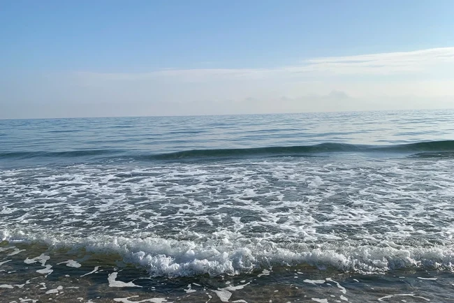 Alquiler apartamentos gandia playa