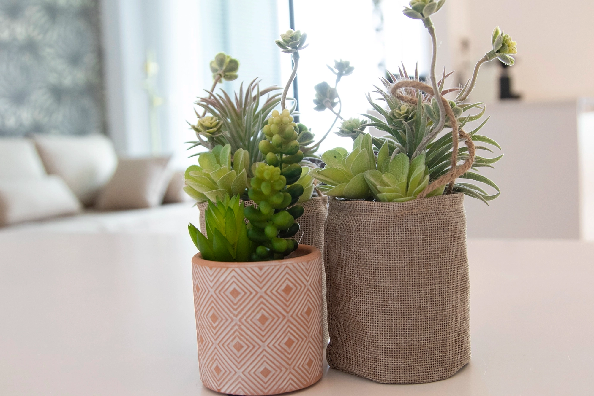 apartamentos gandia con estilo