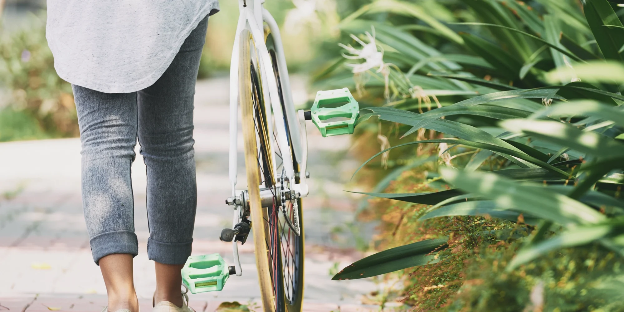 pasear en bici por gandia paseos en bici por gandia