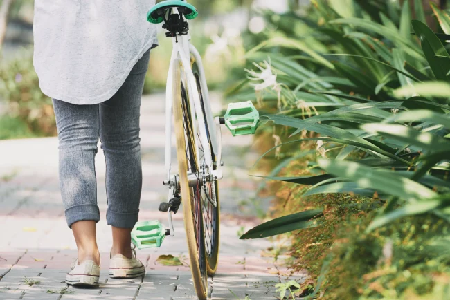 paseos en bici por gandia
