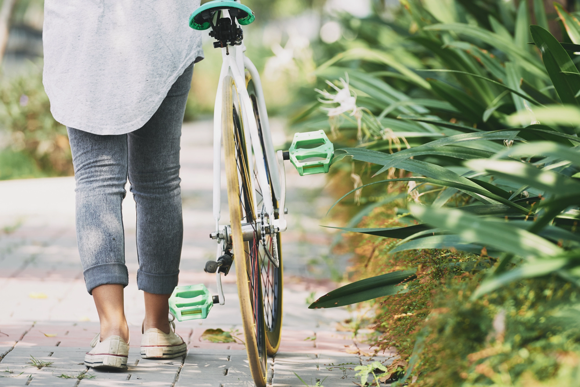 paseos en bici por gandia