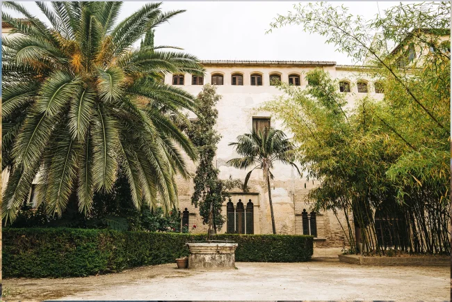 programacion palau ducal agosto 2024