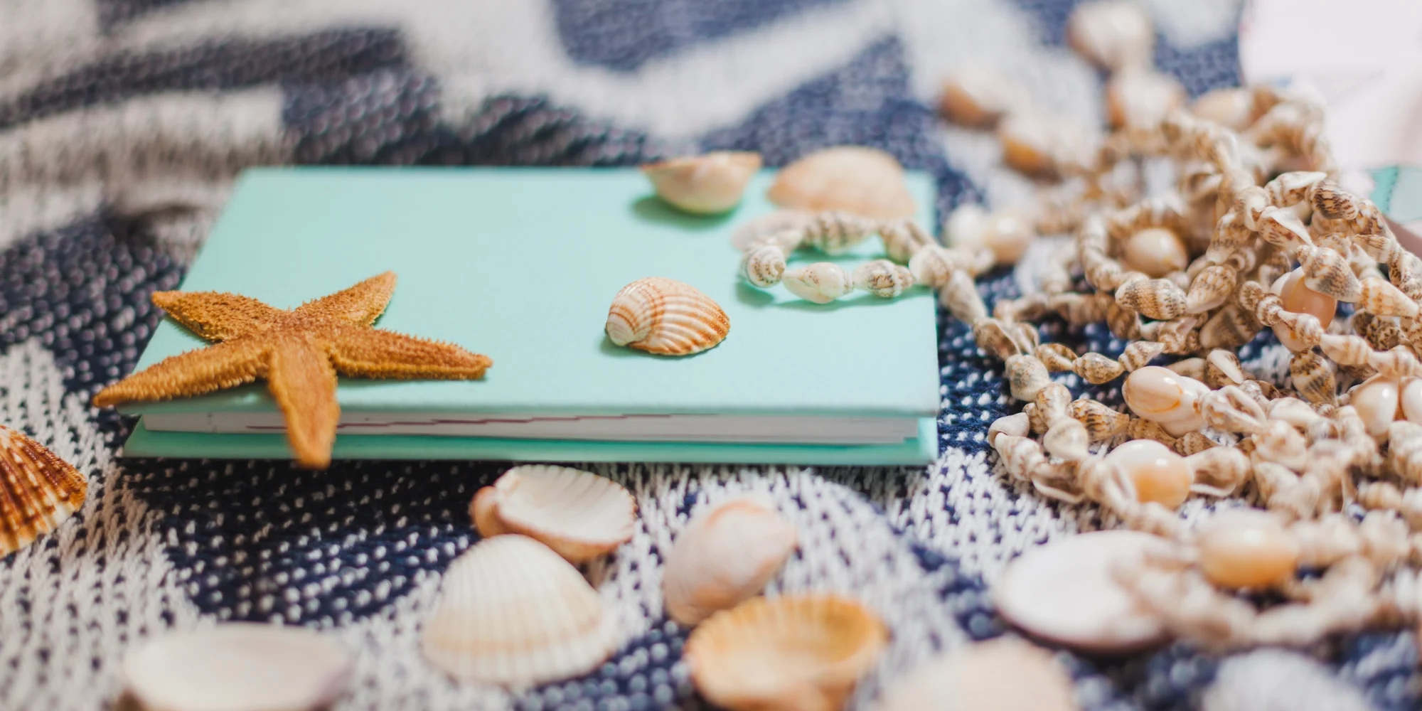 recuerdos playeros alquiler apartamentos gandia manualidades familiares, recuerdos playeros, decoración, DIY, conchas, estrellas de mar, verano, playa, niños, creatividad, reciclaje