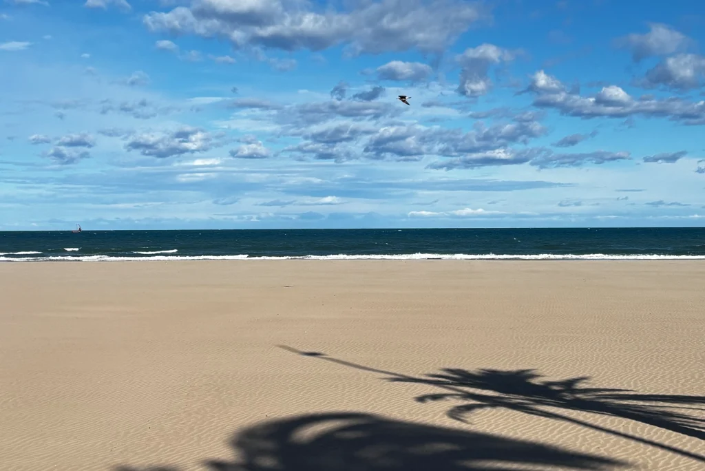 planes de invierno para gandia playa