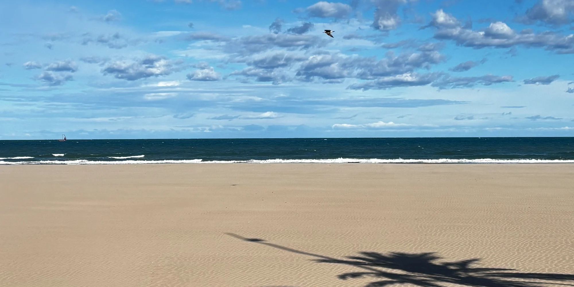 agenda_de_invierno_en_gandia_apartamentos_turisticos planes de invierno para gandia playa