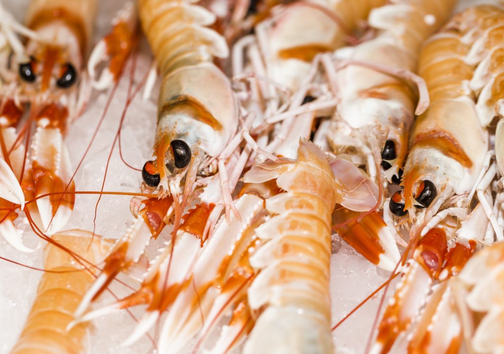 semana de la cigala en Gandia