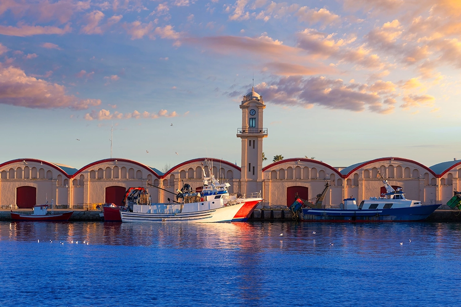 Conoce el Grao de Gandia, la lonja, sus barcos, toda la oferta de ocio