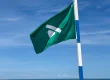 bandera verde con código para daltónicos en la playa de gandia