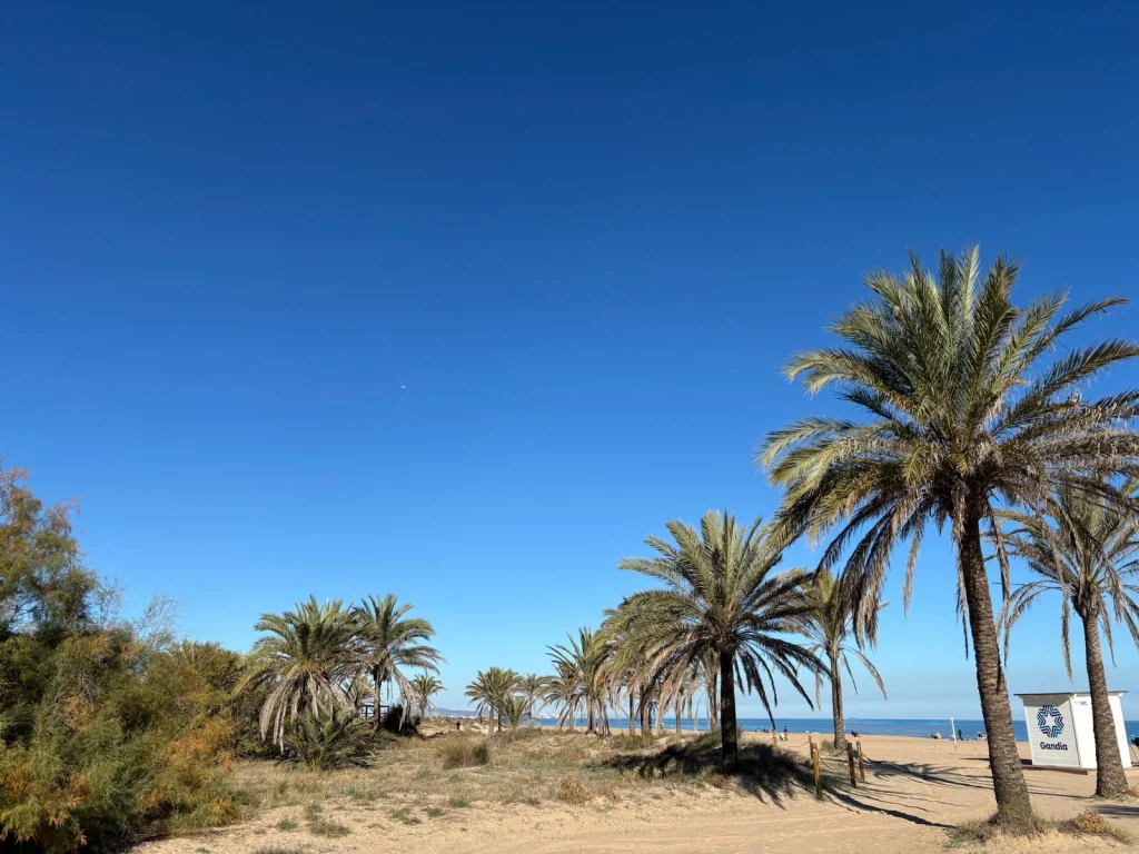 Playa de Gandia en Diciembre